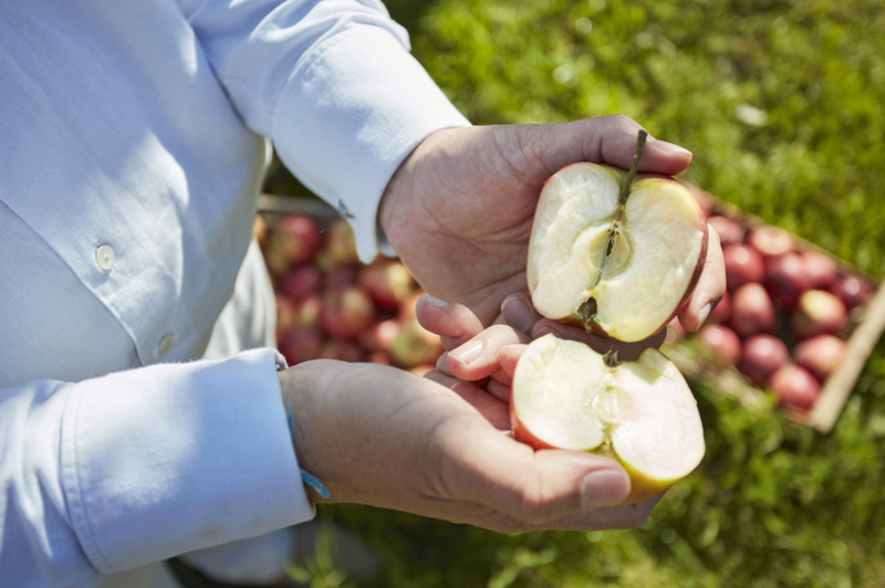 Nuestras Frutas Orgánicas