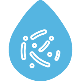 gota con bacterias