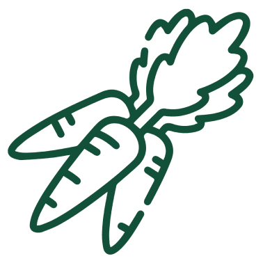 icono zanahorias