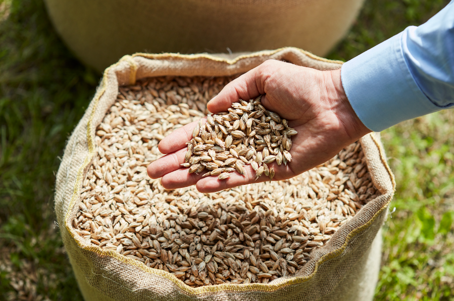 Productos organicos sustentables HiPP