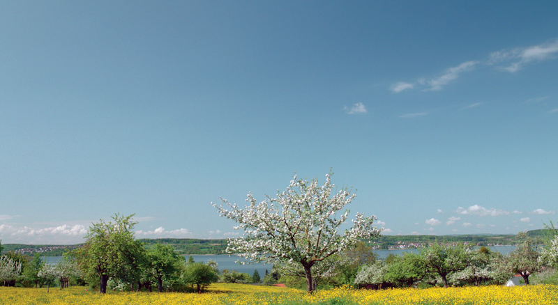 Sustentabilidad en HiPP