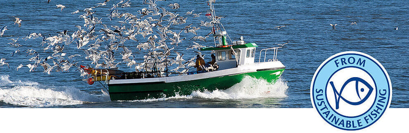 ¿De dónde viene el DHA de las fórmulas HiPP? Pesca sostenible certificada por MSC