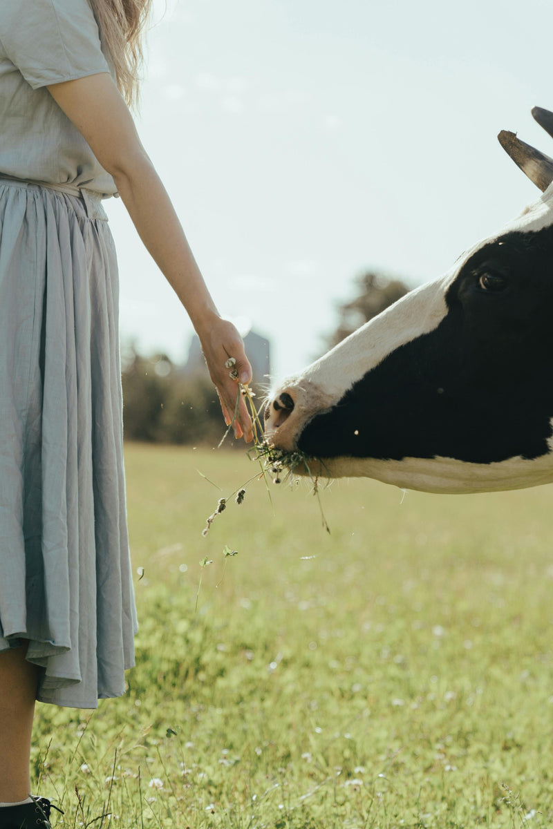 Importancia de la alimentación orgánica