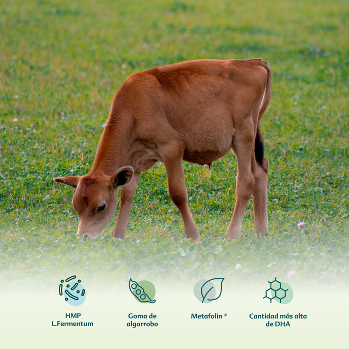 Fórmula HiPP A.R. con Algarrobo 0–12 Meses