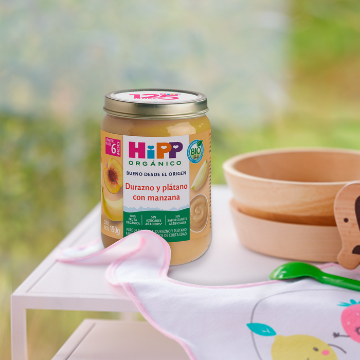 comida para bebe 9 meses