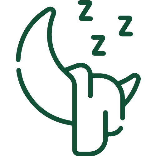 icono de sueño