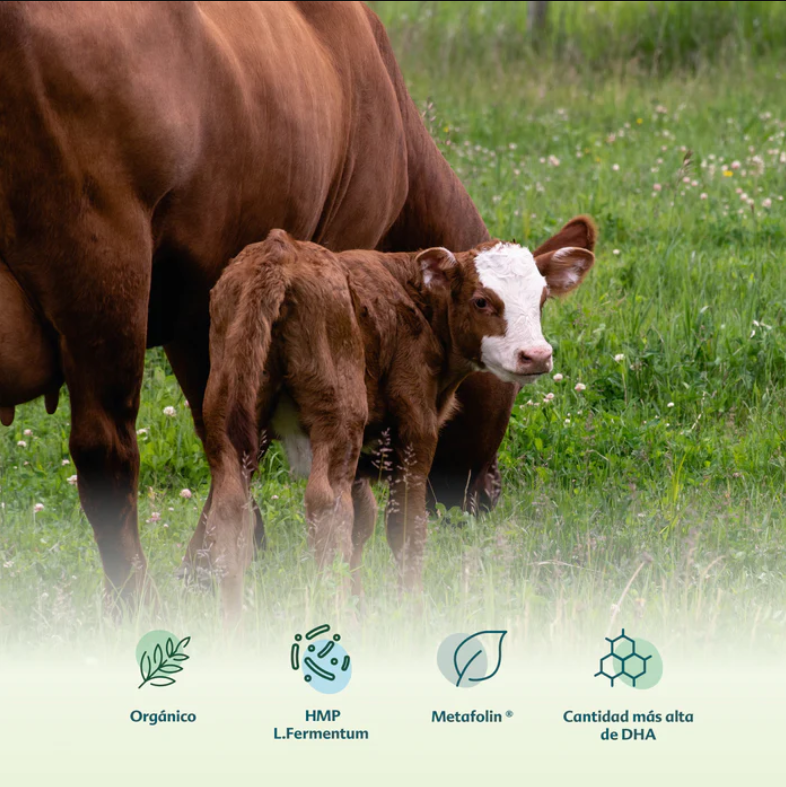 leche para bebe mexico